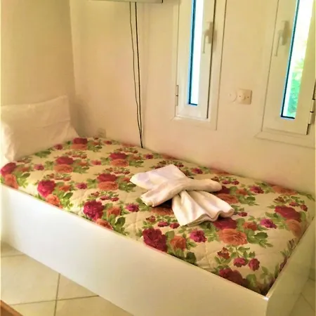 Vila Vasiliki Apartment